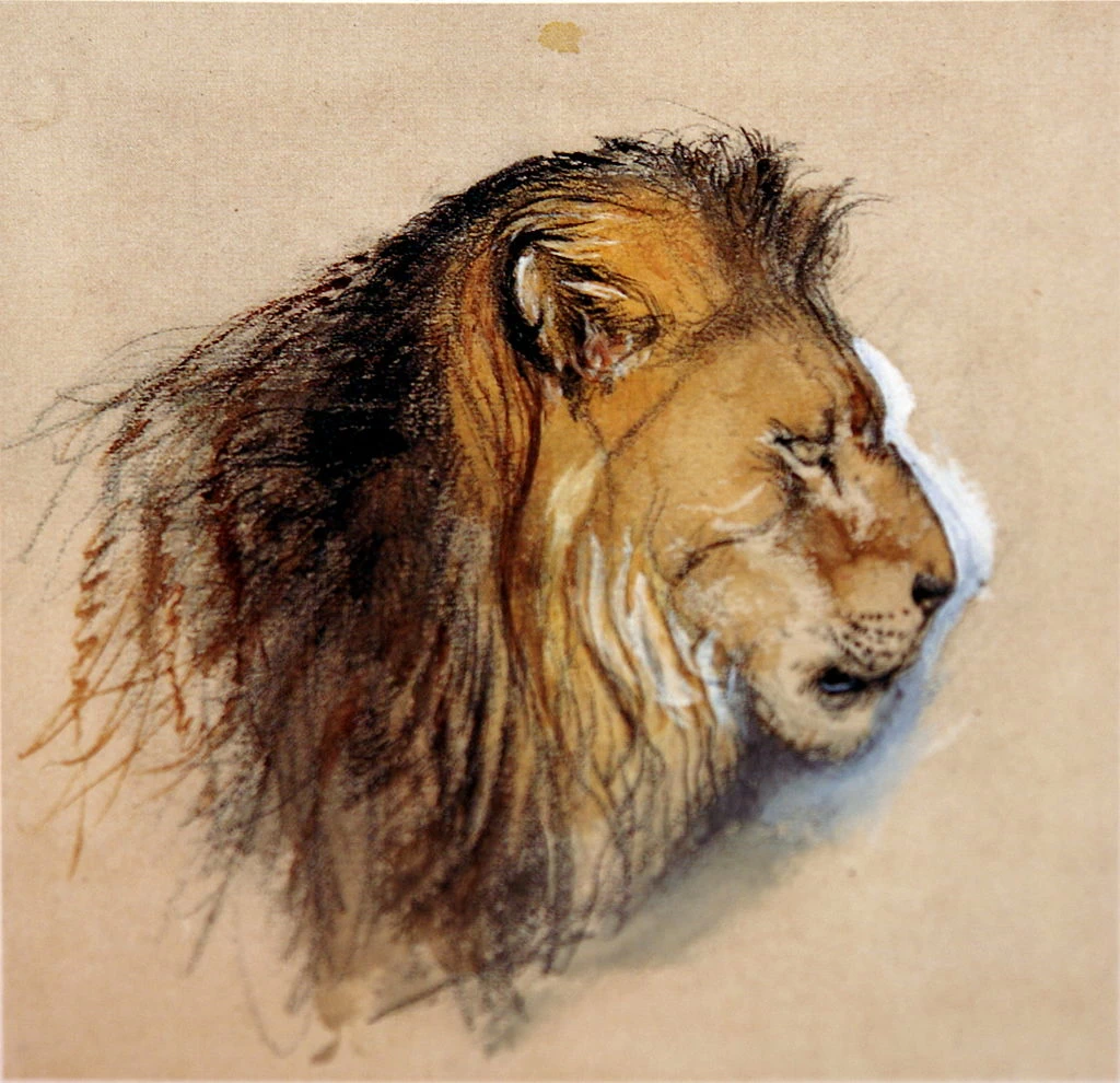 Profilo di leone, 1870